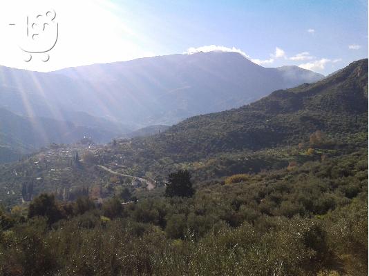 ΠΩΛΗΣΗ ΟΙΚΟΠΕΔΟΥ (ΑΙΓΙΟ)